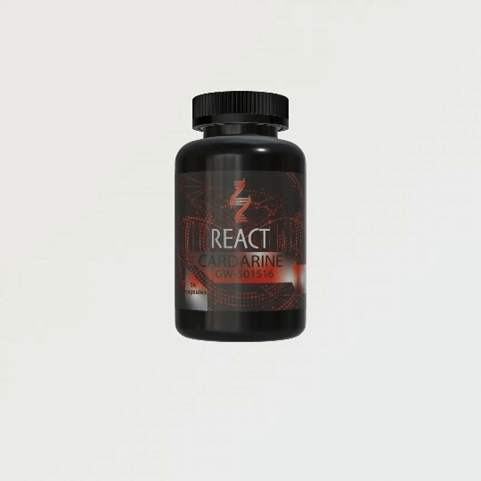 Fat Loss & Recovery Support – Metabolism, Endurance & Muscle Retention (56 Capsules)