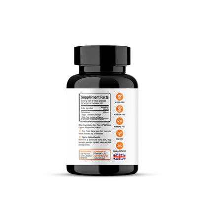 Turkesterone – Natural Anabolic Ecdysteroid for Muscle & Recovery Support (60 Capsules)
